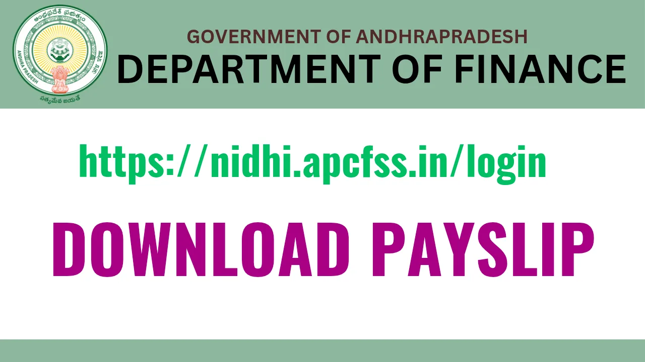 Nidhi payslips